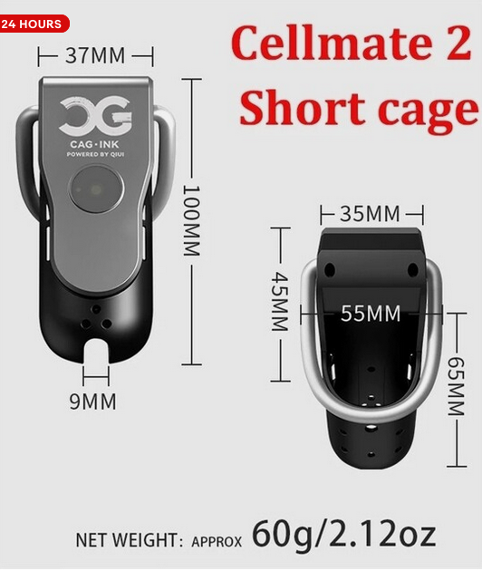 z Dick Controller with WiFi