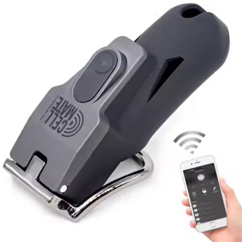 z Dick Controller with WiFi